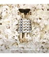 Image du produit 3 sur 6, Rabanne Fame Eau de parfum