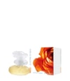 Productafbeelding 2 van 2, KENZO Le Monde est Beau Eau de Toilette