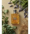 Zdjęcie produktu 3 z 4, Ralph Lauren Safari Woda toaletowa