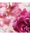 Produktbild 3 av 5, Viktor & Rolf Flowerbomb Eau de Parfum