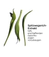 Produktbild 4 von 6, CLARINS Multi Intensive 50+ Gesichtsserum