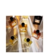 Produktbild 6 von 6, Van Cleef & Arpels Collection Extraordinaire Eau de Parfum
