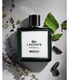 Image du produit 4 sur 6, Lacoste Original Parfum Parfum