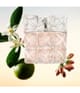 Produktbild 2 von 4, Issey Miyake Lumière d'Issey Eau de Parfum