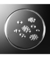 Produktbild 6 von 6, Sisley Sisleÿum Gesichtslotion