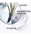 Produktbild 5 von 6, Kérastase Resistance Föhnlotion