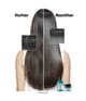 L'Oréal Professionnel Paris Serie Expert Haarshampoo 300 ml 3474637106454 detail-shot_de