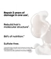 Produktbild 2 von 6, L'Oréal Professionnel Paris Absolut Repair Molecular Haarshampoo