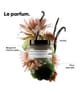 Image du produit 5 sur 6, L'Oréal Professionnel Paris Absolut Repair Molecular Masque cheveux