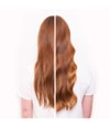Produktbild 6 von 6, Shu Uemura Essence Absolue Haarserum