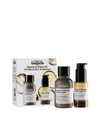 Produktbild 1 von 6, L'Oréal Professionnel Paris Absolut Repair Molecular Haarpflegeset