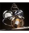 Produktbild 4 von 6, L'Oréal Professionnel Paris Absolut Repair Haarpflegeset