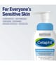 Produktbild 2 von 6, Cetaphil Basispflege Reinigungsschaum