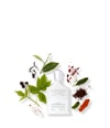 Produktbild 3 von 3, Creed Millésimes Men & Unisex Eau de Parfum