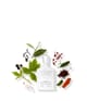 Produktbild 3 von 3, Creed Millésimes Men & Unisex Eau de Parfum