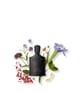 Produktbild 3 von 3, Creed Millésimes Men & Unisex Eau de Parfum