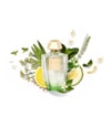 Produktbild 3 von 3, Creed Acqua Originale Eau de Parfum