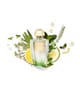 Produktbild 3 von 3, Creed Acqua Originale Eau de Parfum