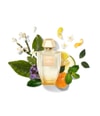 Produktbild 3 von 3, Creed Acqua Originale Eau de Parfum