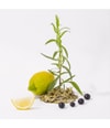 Produktbild 2 von 4, La Compagnie de Provence Black & White Flüssigseife