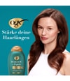 Produktbild 6 von 6, Ogx ProGrowth Conditioner