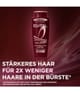 Produktbild 3 von 6, L'Oréal Paris Elvital Haarshampoo
