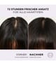 L'Oréal Paris Elvital Haarshampoo 250 ml 3600524140045 visual-shot_de