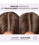Produktbild 4 von 6, L'Oréal Paris Elvital Haarshampoo