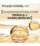 Produktbild 4 von 5, L'Oréal Paris Elvital Haarshampoo