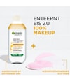 Produktbild 3 von 6, GARNIER SkinActive Gesichtswasser