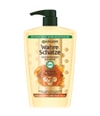 Produktbild 1 von 6, GARNIER Wahre Schätze Haarshampoo