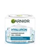 Produktbild 3 von 6, GARNIER Hyaluron Gesichtsgel