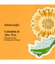 Produktbild 4 von 5, Kiehl's Calendula Gesichtsmaske