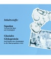 Produktbillede 4 af 5, Kiehl's Ultra Facial Ansigtsmaske