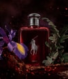 Produktbillede 3 af 6, Ralph Lauren Polo Red Parfume