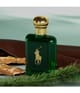 Produktbild 3 von 5, Ralph Lauren Polo Eau de Toilette