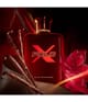 Produktbild 3 von 5, Ralph Lauren Polo Red Eau de Parfum