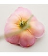 Zdjęcie produktu 4 z 6, Chloé Atelier des Fleurs Woda perfumowana