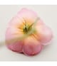 Produktbild 4 von 6, Chloé Atelier des Fleurs Eau de Parfum