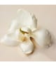 Zdjęcie produktu 4 z 6, Chloé Atelier des Fleurs Woda perfumowana