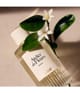 Zdjęcie produktu 3 z 6, Chloé Chloé Atelier des Fleurs Woda perfumowana