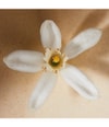 Zdjęcie produktu 4 z 6, Chloé Chloé Atelier des Fleurs Woda perfumowana