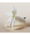 Immagine prodotto 4 di 6, Chloé Chloé Atelier des Fleurs Eau de Parfum