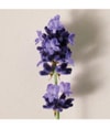 Immagine prodotto 3 di 5, Chloé Chloé Atelier des Fleurs Eau de Parfum