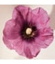 Immagine prodotto 3 di 5, Chloé Chloé Atelier des Fleurs Eau de Parfum