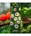 Zdjęcie produktu 3 z 6, Marc Jacobs Daisy Love Woda toaletowa