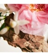 Produktbillede 5 af 6, Chloé Rose Naturelle Eau de Parfum