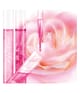 Produktbillede 4 af 5, LANCÔME Rose Sugar Scrub Ansigtsscrub