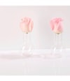 Produktbild 5 von 5, LANCÔME Rose Sugar Scrub Gesichtspeeling