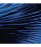 Produktbild 2 av 5, Biotherm Homme Force Supreme Nattkräm
